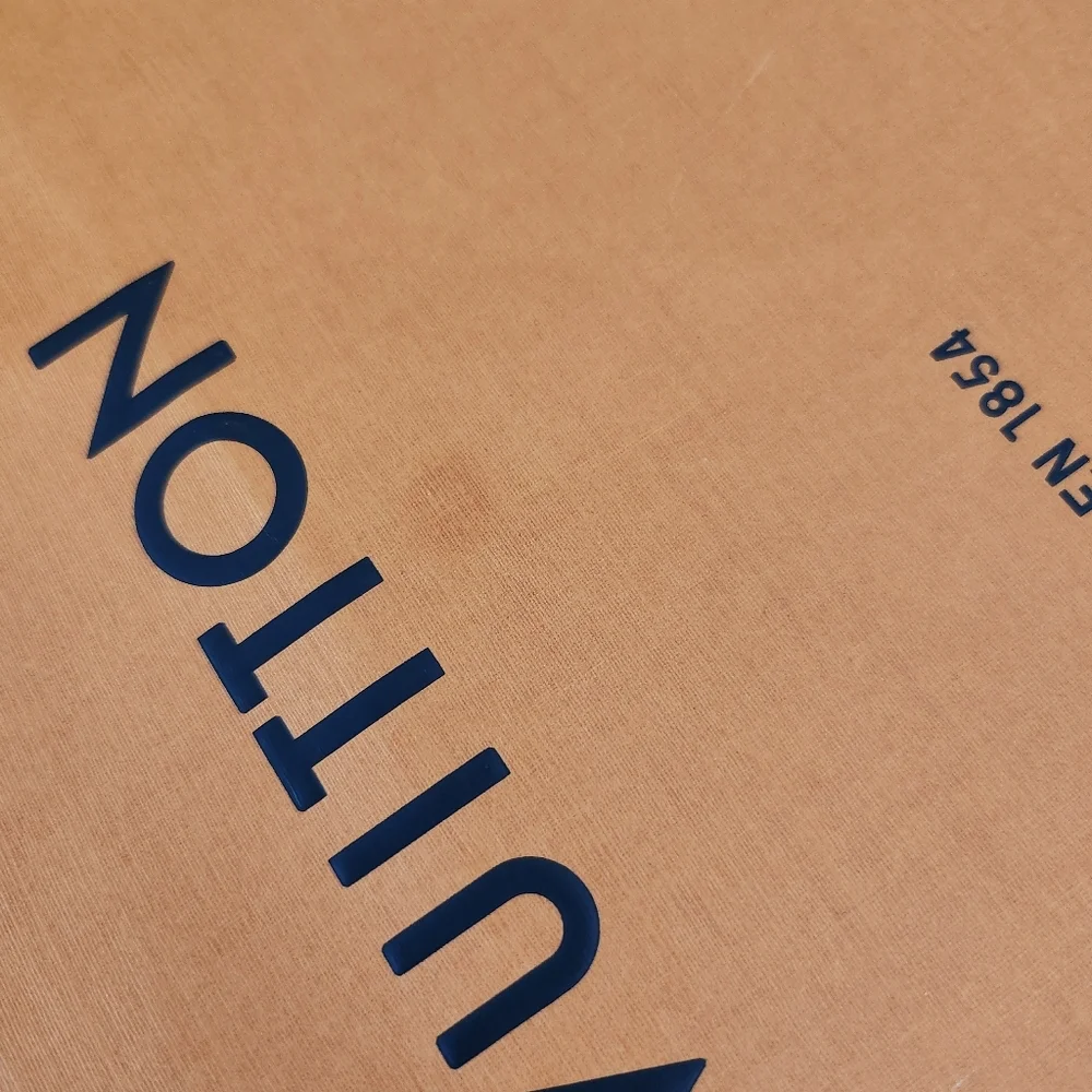 Louis Vuitton Large Paper Shopping Bag